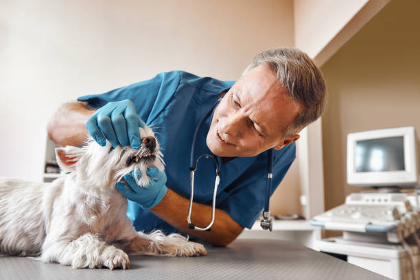 Best Emergency Tooth Extraction in Piedmont, SC